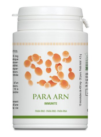 PARA ARN - Para RNO 10 cônes