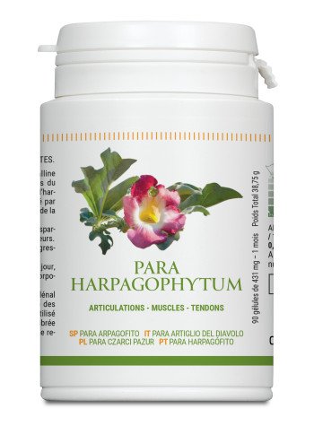 Para Harpagophytum 90 gélules