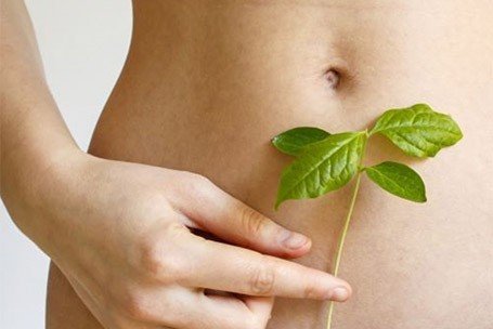 Detox & urinair comfort | Krachtige planten voor reiniging
